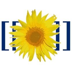 MediaWiki Extension